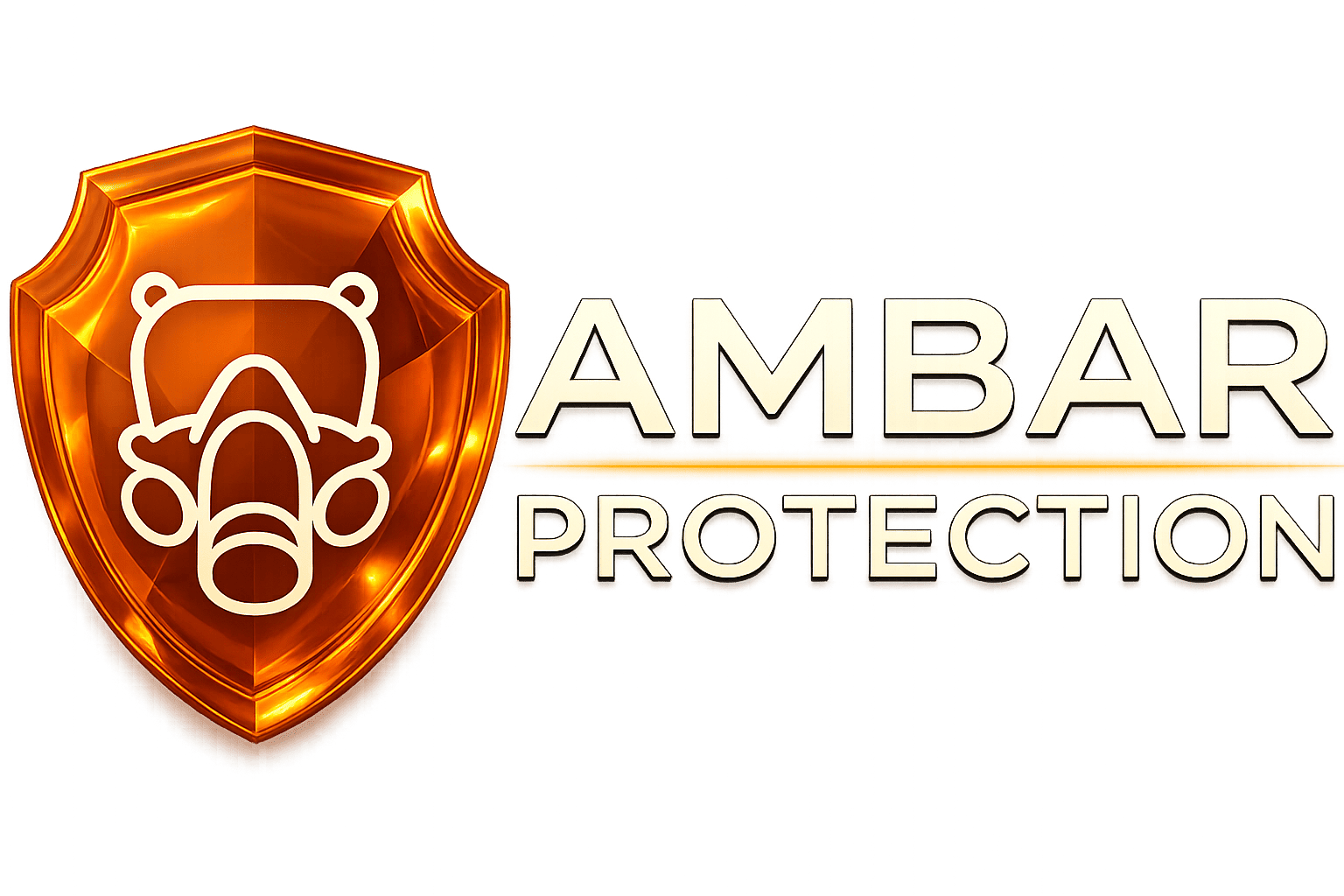 ambar protection (1)